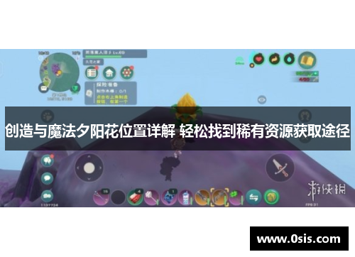创造与魔法夕阳花位置详解 轻松找到稀有资源获取途径